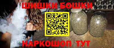 дживик Камень-на-Оби