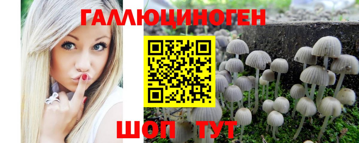 Псилоцибиновые грибы мухоморы  Вход с VPN  Ахтубинск  Галлюциногенные грибы прущие грибы 